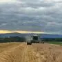 Viele Landwirte mussten früher als üblich mit der Ernte starten