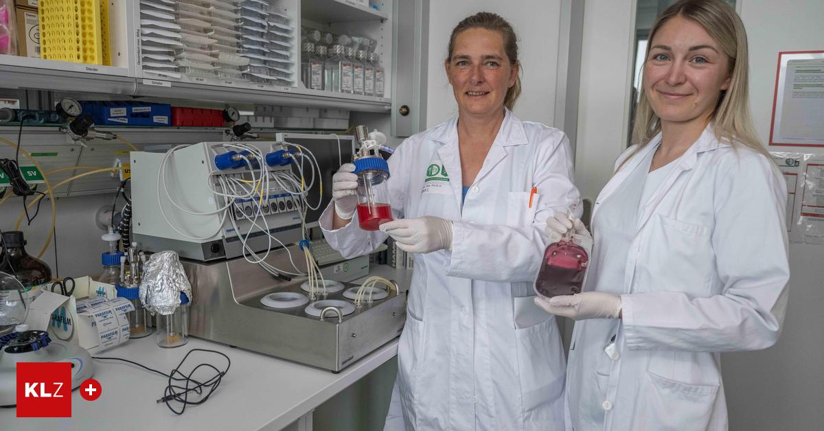 Gez-chtetes-Blut-Stammen-unsere-Bluttransfusionen-bald-aus-dem-Labor-