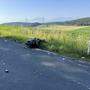 Die Magdalensberg-Straße war für die Dauer der Aufräumarbeiten gesperrt