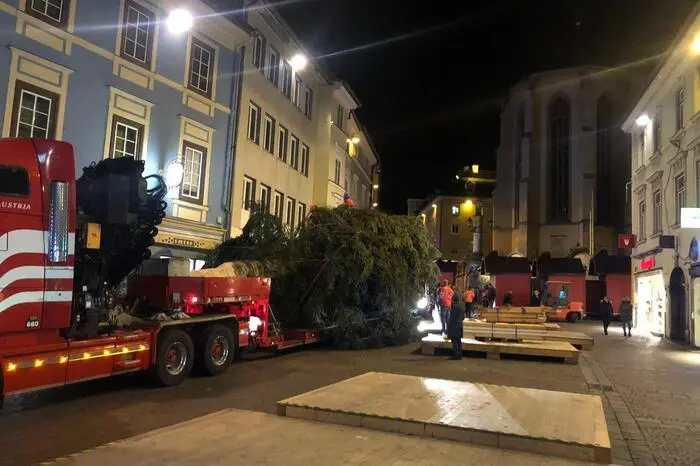 Montagabend wurde der Baum am Hauptplatz aufgestellt.