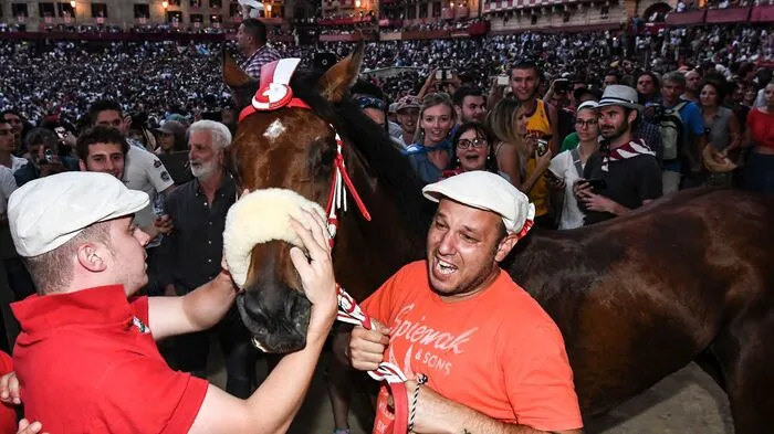 Beim ebenso traditionsreichen wie umstrittenen Palio-Pferderennen in Siena hat am Sonntagabend die "Giraffe" gesiegt.