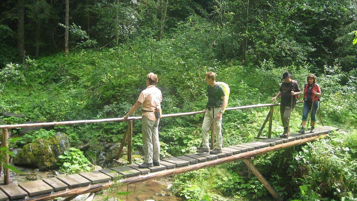 Der Wassererlebnisweg Gnoppnitzgraben wurde für fünf Wanderer zur Falle