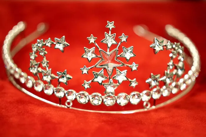 Die Tiara der Debütantinnen am Wiener Opernball am 20. Februar hat der französische Designer Christian Lacroix entworfen.
