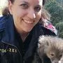 Das Fuchsbaby wurde in Sicherheit gebracht