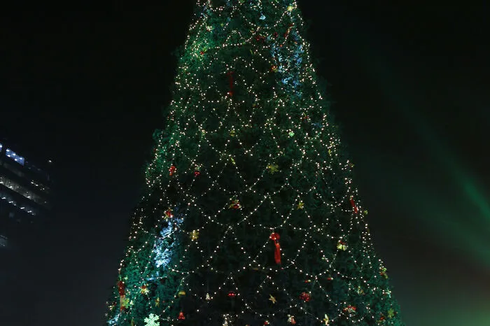 Auch Christbäume dürfen da nicht fehlen. Ein besonders schönes Exemplar in Mumbai.