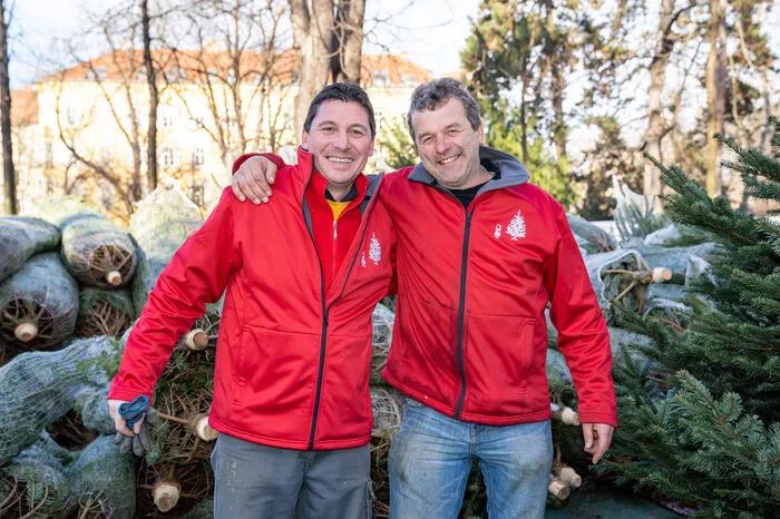 Thomas Maier (l.) und Egon Hochegger macht ihre Arbeit als Christbaumbauern Spaß. Die Kälte seien sie gewohnt.
