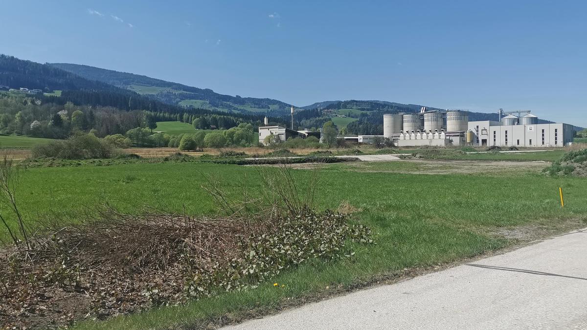 In diesem Bereich in Wiesenau, südlich der Zufahrt zum RZ-Pellets-Werk, soll die Tankstelle entstehen