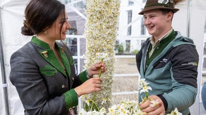 Die Teilnehmenden gaben alles für ein Blütenmeer 