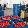 Obst- und Gemüsebauern leiden unter Importstopp