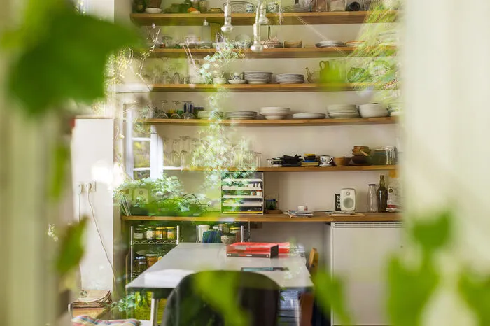 An den Wänden des revitalisierten Gemeinschaftsprojekts in der Wiener Karmelitergasse ranken sich wilder Wein und Efeu, sie sind auch von innen zu sehen.
