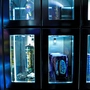 Das Bild zeigt Alkohol und Lachgas in einem Grazer Automatenshop