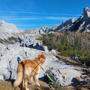 Auch Hunde müssen trainiert sein und brauchen genügend Wasser, wenn sie ihre Besitzer auf Wanderungen ins alpine und hochalpine Gelände begleiten