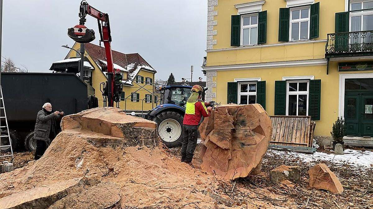 Die Platane in Pörtschach ist Geschichte.