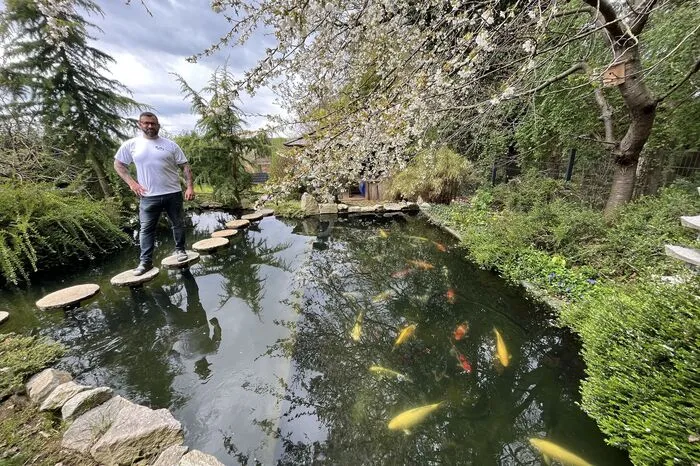 "Jeder Fisch hat einen anderen Charakter", erklärt Höller, der ...