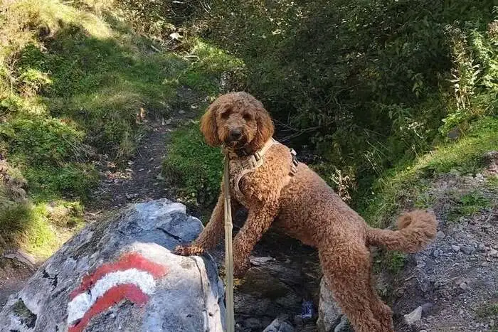 Luna aus Leoben