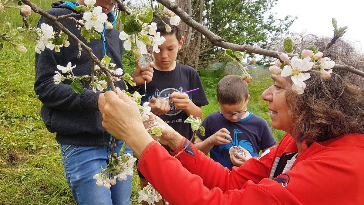 Anschauungsmaterial bietet die Naturparke nicht nur für Biologie wie hier, sondern auch für andere Fächer