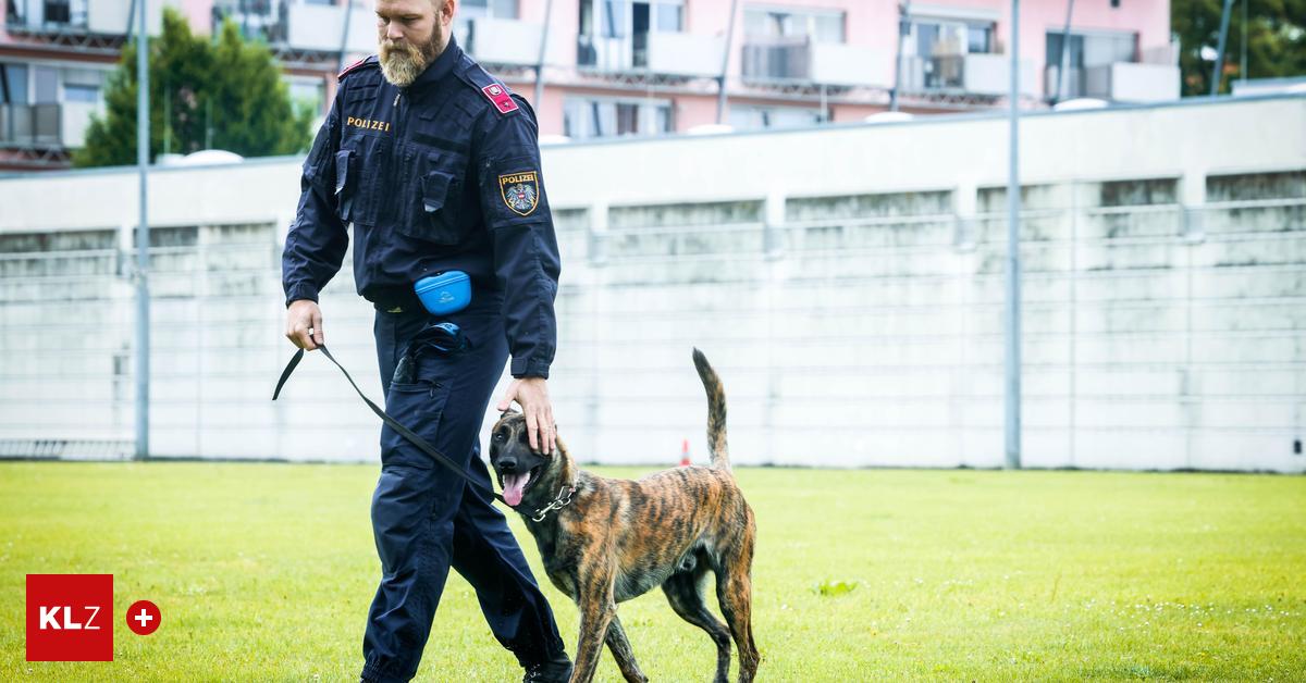 Polizisten-auf-vier-Pfoten-Wir-brauchen-keine-bitterb-sen-Hunde-