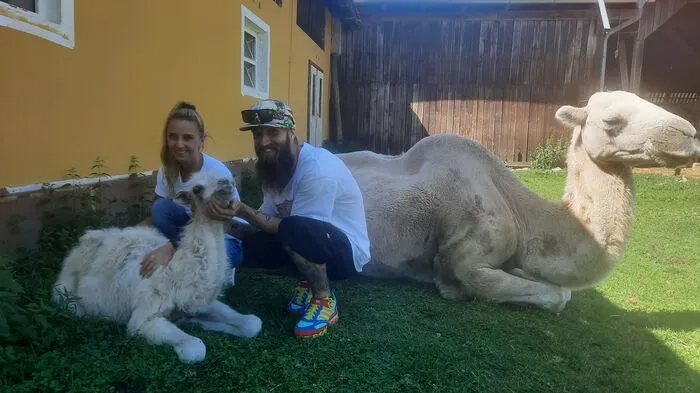 Manuela Hermann und Thomas Schober mit Fohlen Sarab und ihrer Mutter