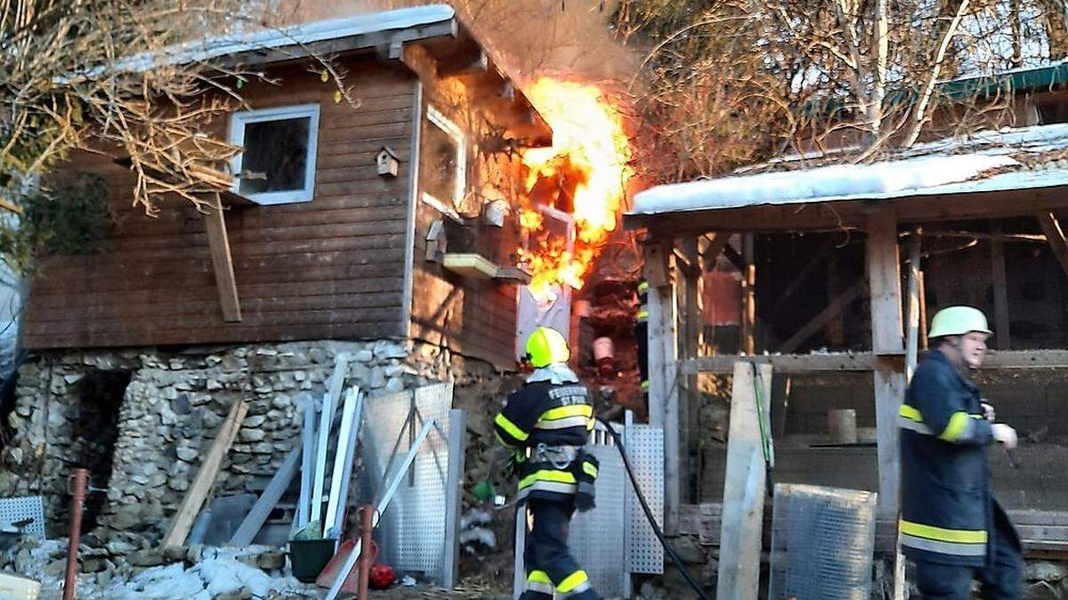 Die Gartenhütte wurde zur Todesfalle für drei Hunde