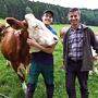 Thomas Höffernig unterstützt Landwirt Willibald Pichler in Guttaring tatkräftig