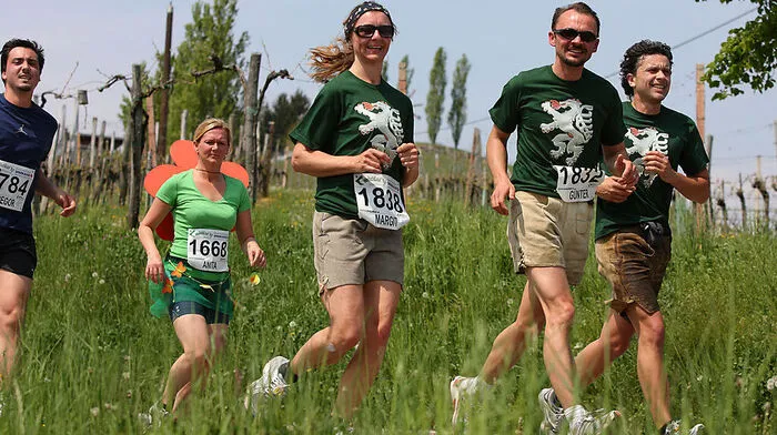 Laufend durch die Weinberge