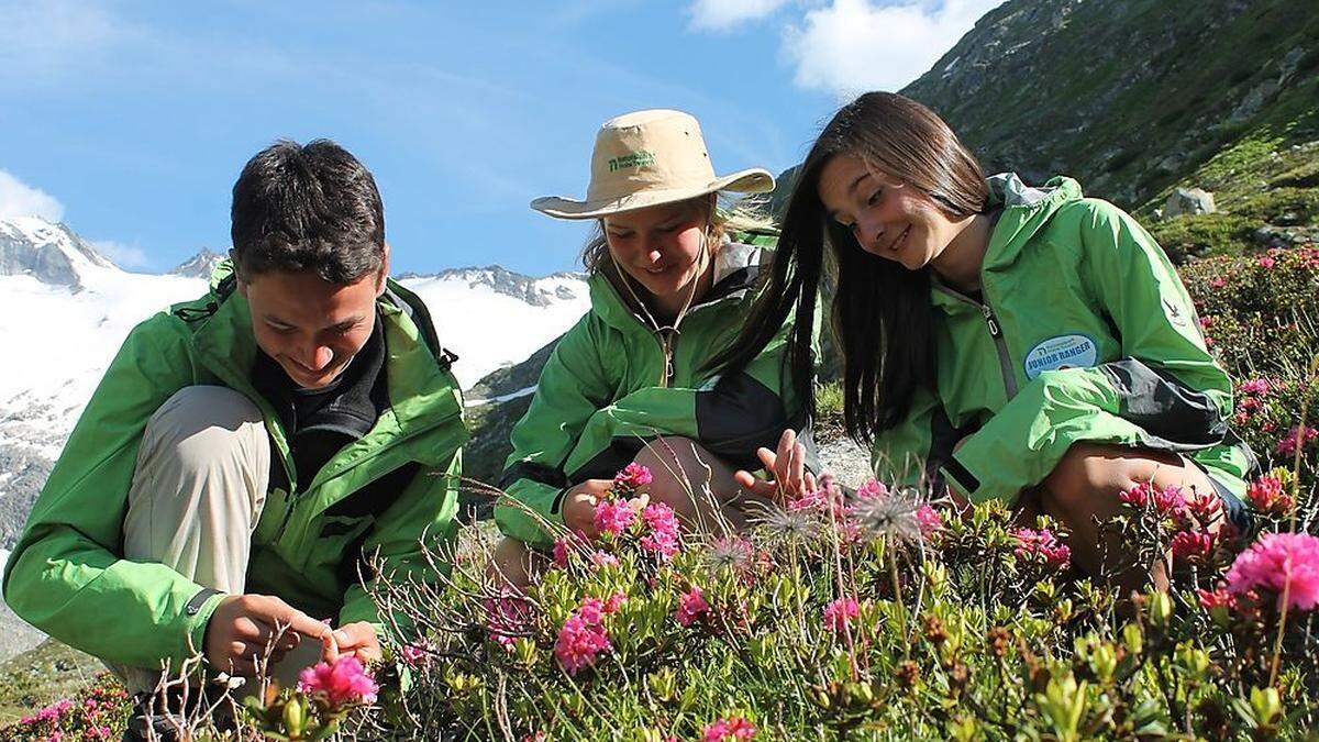 Zwei Wochen Ausbildung im Nationalpark Hohe Tauern