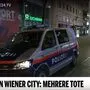 Die Berichterstattung von oe24.at und krone.at habe dem Persönlichkeitsschutz und dem Recht auf Intimsphäre widersprochen, so der Presserat.