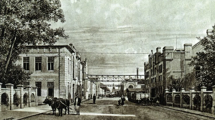 Im Jahr 1853 erwarben die aus Westfalen stammenden Brüder Johann Peter und Julius Reininghaus in der an Graz grenzenden Gemeinde Eggenberg die kleine Brauerei Königsdorfer im alten Mauthaus.