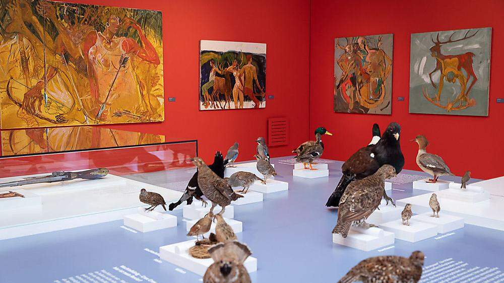 Im Jagdmuseum Schloss Stainz treffen Trophäen auf Kunst und Malerei. 