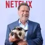 Arnold Schwarzenegger bei der Premiere der Netflix-Serie „Fubar“ in Los Angeles