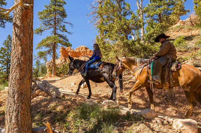 Im Bryce Canyon, Nordamerika