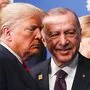 Erdogan und Trump
