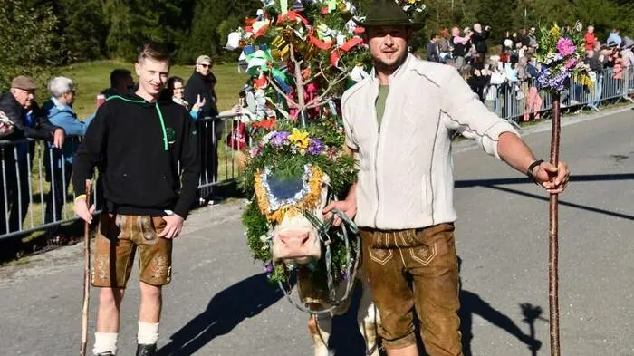 Die Heimkehr der Almtiere im Lachtal