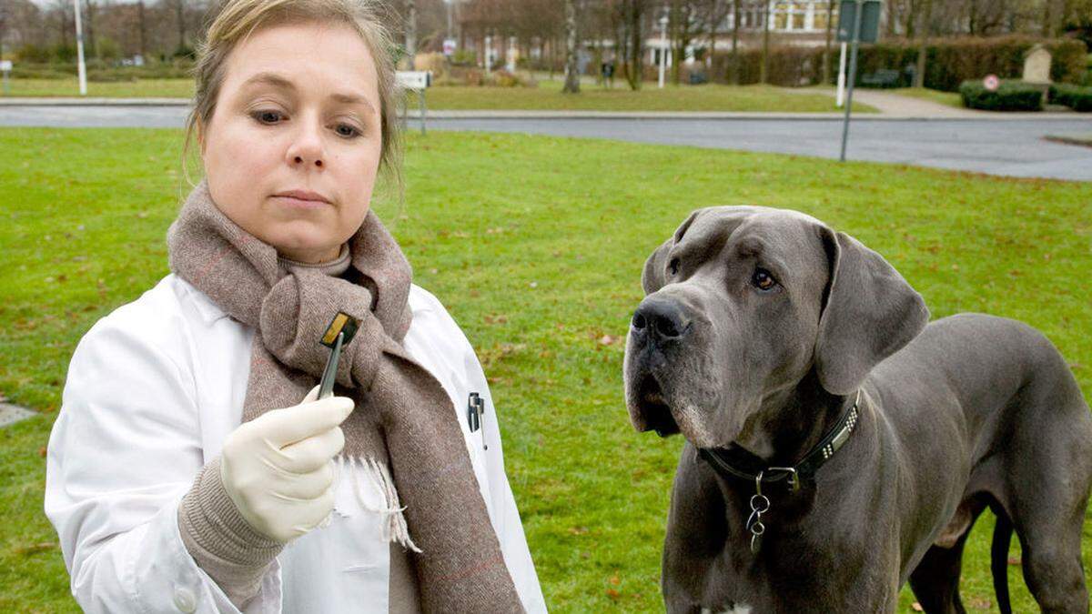 Christine Urspruch im &quot;Tatort&quot; &quot;Krumme Hunde&quot;