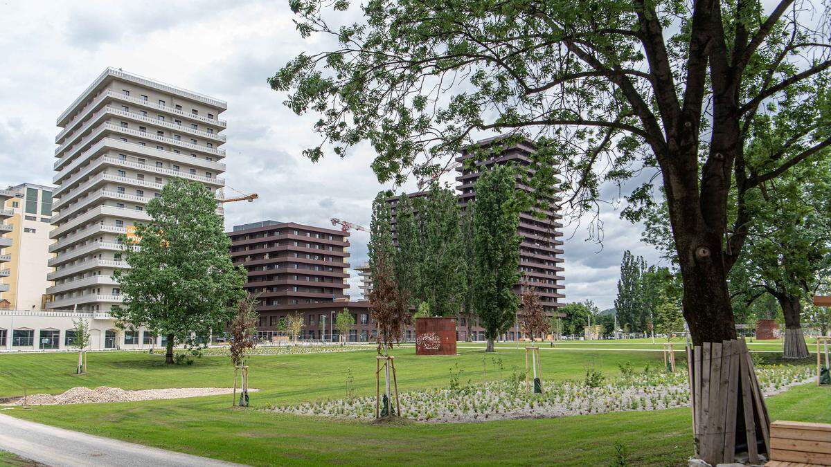 Seit heuer ist der zentrale Park im neuen Stadtviertel eröffnet – und nun ist die Anlage auch schon prämiert