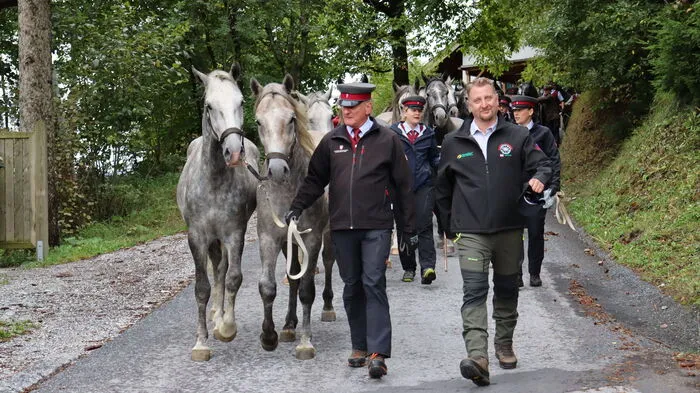 Die Lipizzanerhengste kommen beim Gasthof Wiendl an.