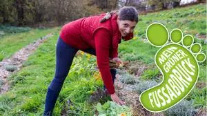 Alexandra Magarita Sacher Santana