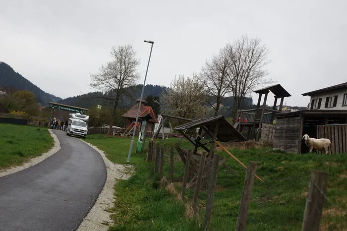 Auch die Schafe kommen angelaufen, als sich am Radweg etwas rührt.