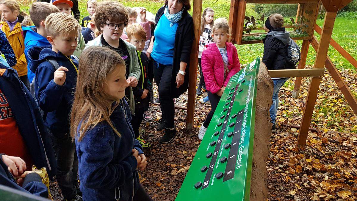 Dem Gesang von 15 Vögeln kann man im Schlosspark Greißenegg lauschen