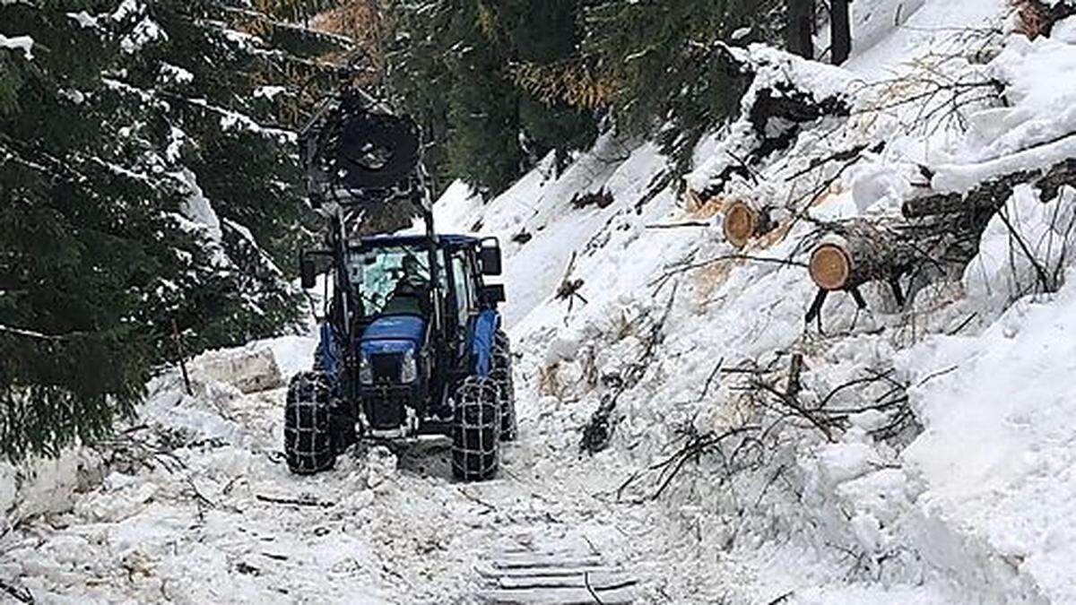 In den Wäldern tätigten die Bauern bisher nur die notwendigsten Arbeiten, wie das Freischneiden von Straßen