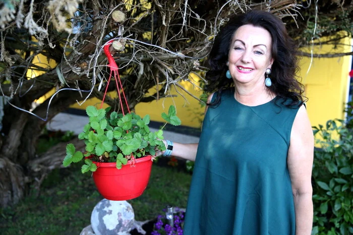 Auf Einladung von Elisabeth Steiner, Inhaberin des Gasthofes „Bärenwirt“ (Foto), ...