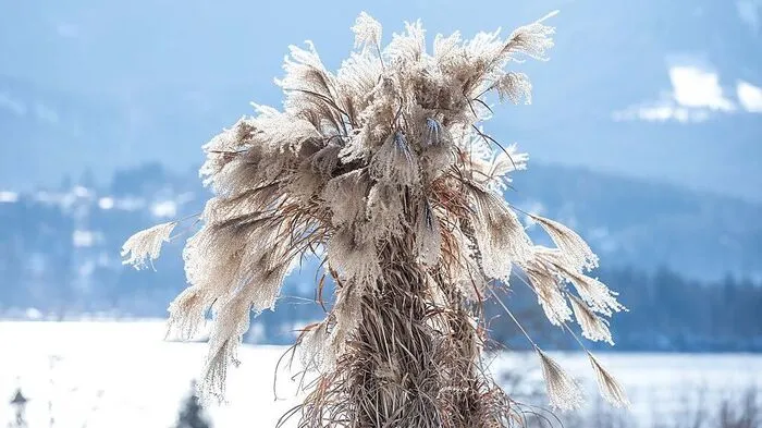 Winter-Sonne