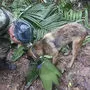 Militärangehörige auf der Suche nach den vermissten Kindern