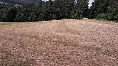 Die Hitze setzt der Landwirtschaft massiv zu