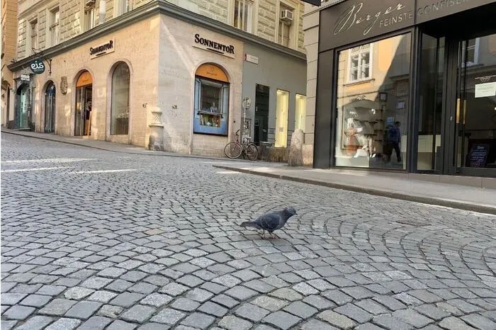In der Sporgasse pickte ein einsamer Vogel zwischen den Pflastersteinen auf Futtersuche.