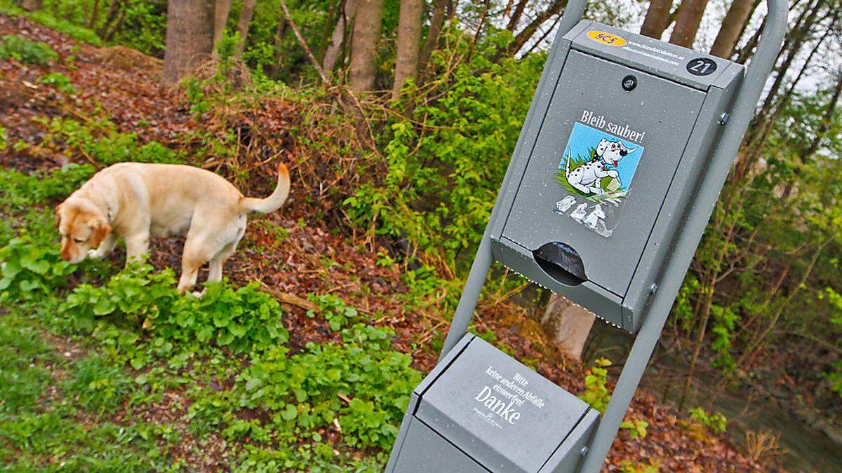 Um die 200 Gassimaten gibt es in Klagenfurt. Rund 20 kommen pro Jahr dazu