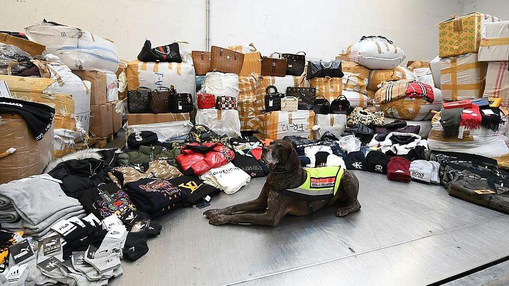 Zoll-Diensthund inmitten der beschlagnahmten Waren