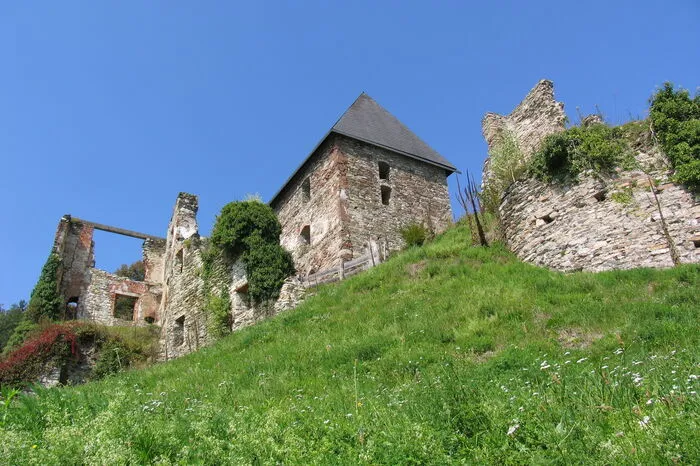 Schwierigkeit: leichtStrecke: 1,8 kmDauer: 1 hEntlang der Ruine Ligist in der Weststeiermark führt der Vogelstimmenweg. Vor 20 Jahren wurde der Rundweg errichtet. Auf der Burgwiese haben Wanderer die Möglichkeit, sich 15 unterschiedliche Vogelstimmen anzuhören. Vögel wie der Buchfink, die Blaumeise, die Singdrossel oder der Eichelhäher sind im Schlosswald Ligist beheimatet.