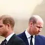 Eine Versöhnung der Brüder Harry und William scheint angesichts der Enthüllungen in weite Ferne gerückt