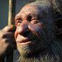 Neandertaler und moderner Mensch waren sich anatomisch sehr ähnlich